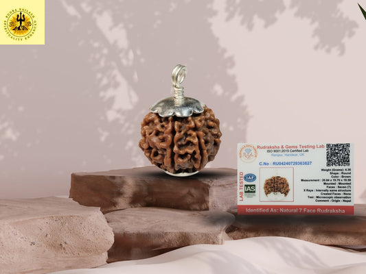 Seven Mukhi 7 Face Rudraksha: Embrace Spiritual Wealth and Prosperity