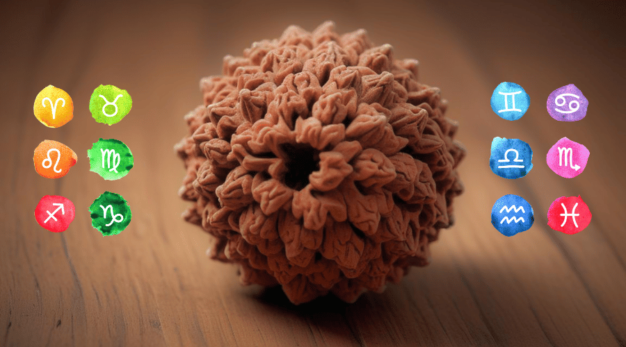 Choose the Perfect Rudraksha According to Rashi