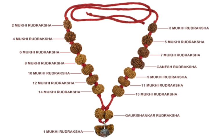 1 to 14, Gowri Shankar, Ganesh Rudraksha Sidha Mala with Rudraksha mark