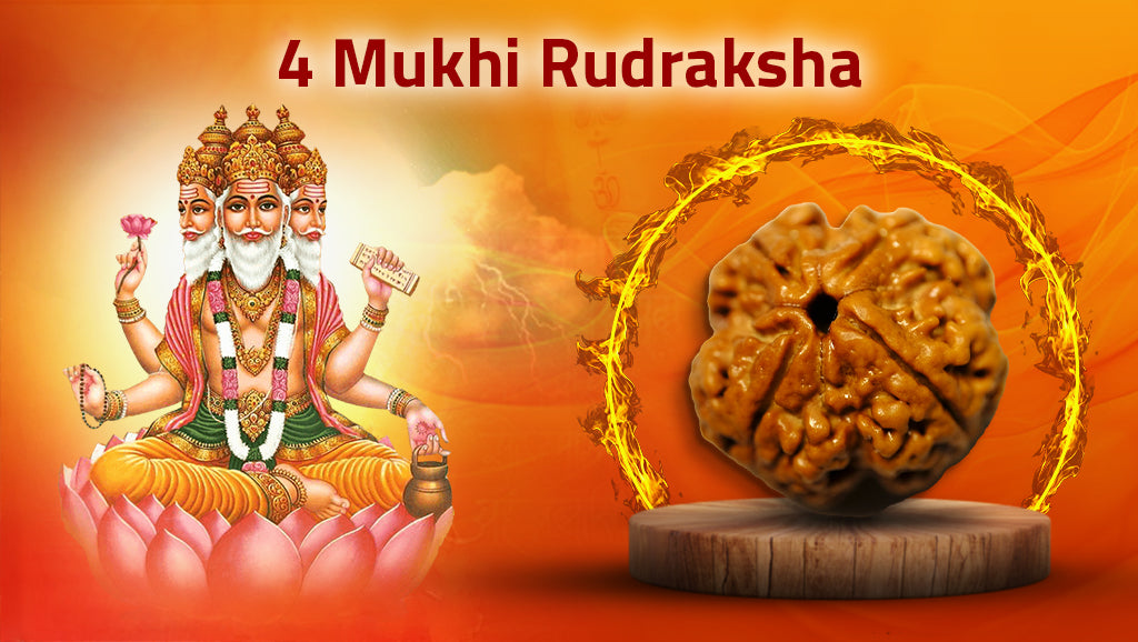 Four Mukhi Rudraksha