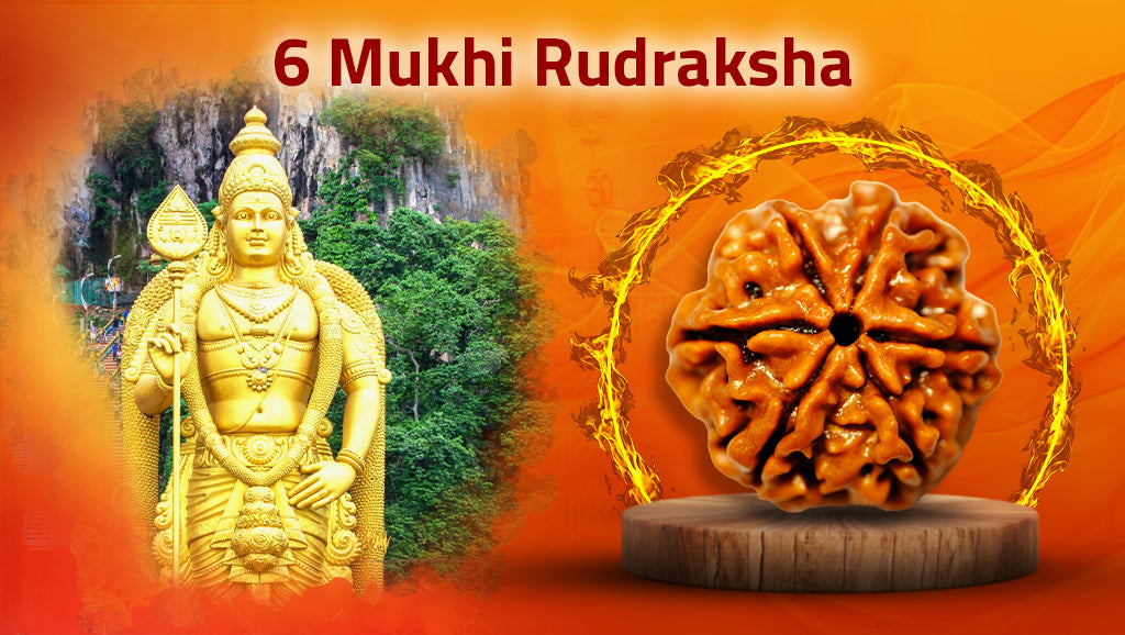 Six Mukhi Rudraksha