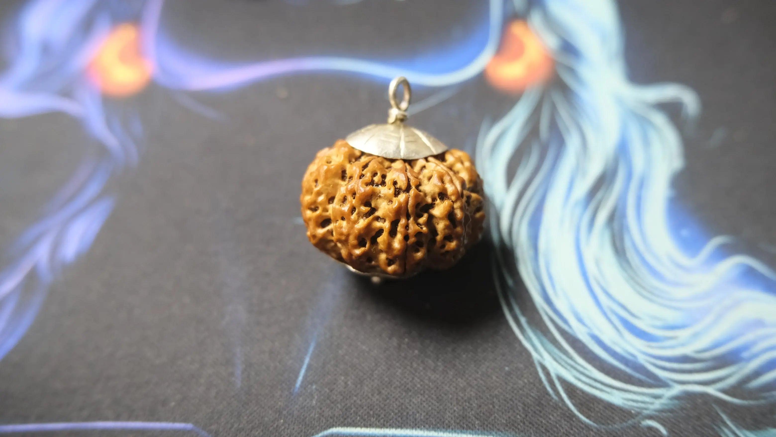 Premium Nine Mukhi Rudraksha Rudra Kailash