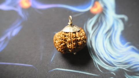 Premium Nine Mukhi Rudraksha Rudra Kailash