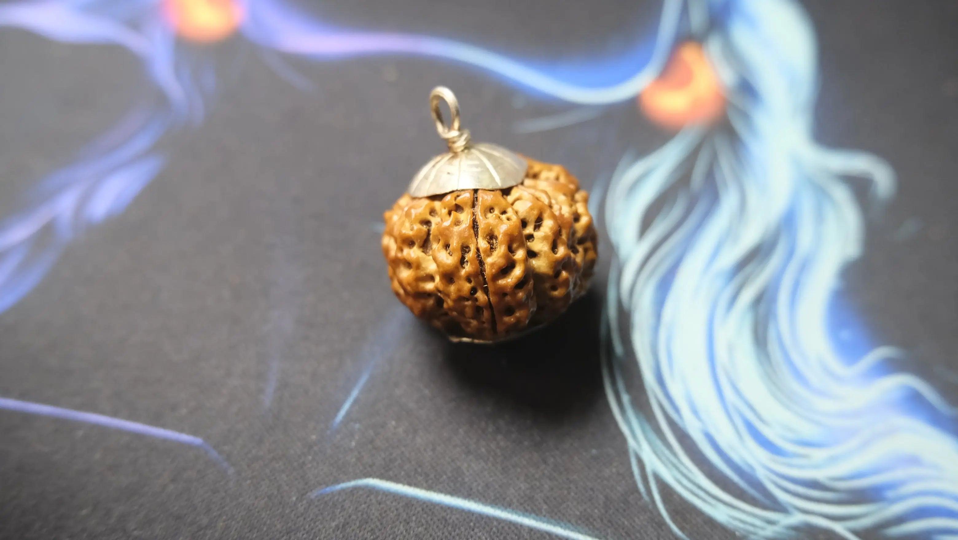 Premium Nine Mukhi Rudraksha Rudra Kailash