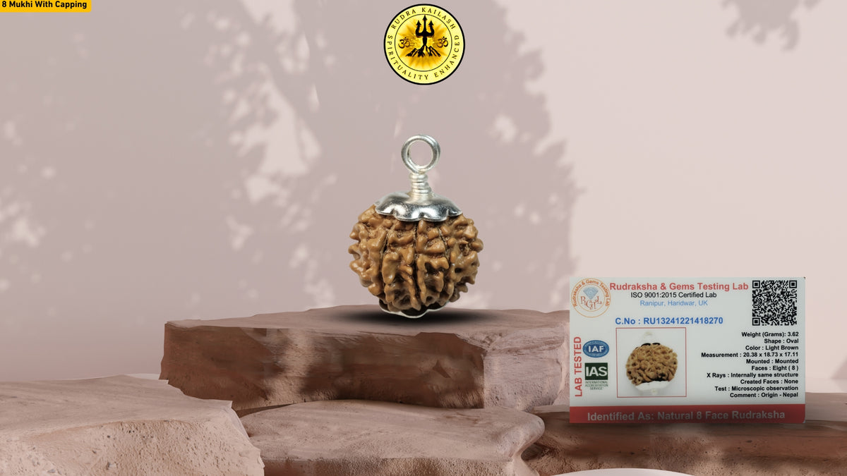 Eight Mukhi 8 Face Rudraksha - Small