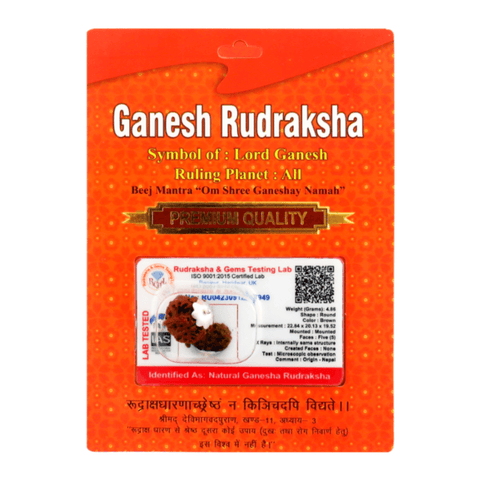 Ganesh Rudraksha - Packaged