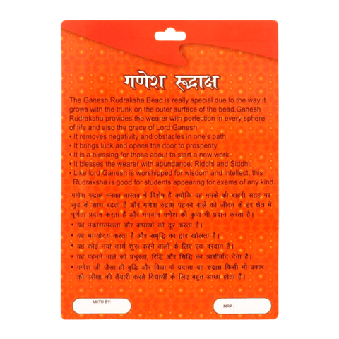 Ganesh Rudraksha - Packaged