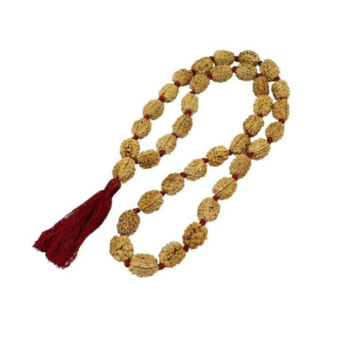 Three Mukhi Kantha Mala (32+1) Beads Rudra Kailash